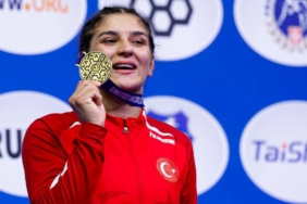 nesrin-bas-aa-2411195.jpg